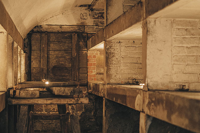 為什么做日本TikTok直播要用日本TikTok專線？