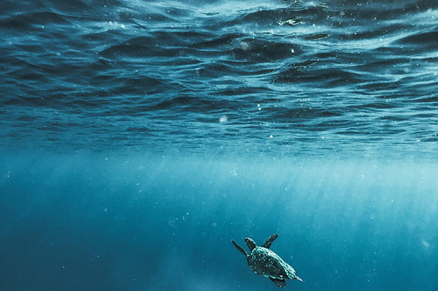 印尼TikTok直播要用專線網(wǎng)絡(luò)嗎？